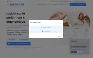 Perfactive.fr Screenshot 2024-06-27 03:35:26