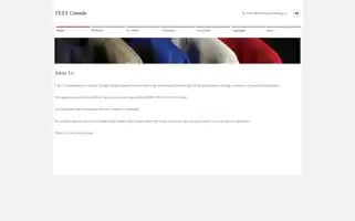 Texxinternational.com Screenshot 2024-06-13 22:31:35