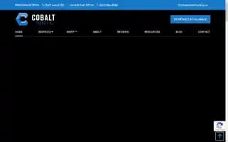 Cobaltsafety.ca Screenshot 2024-07-01 13:03:06