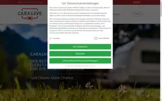 Carasave.de Screenshot 2024-07-08 18:13:29