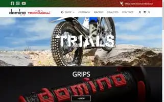 Dominoracing.com Screenshot 2024-05-21 18:11:34