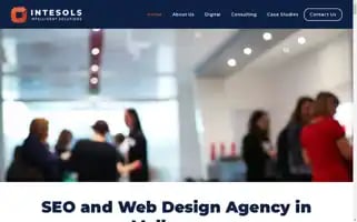 Intesols.com.au Screenshot 2024-06-12 23:01:27