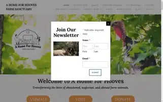 Homeforhooves.org Screenshot 2024-06-28 10:58:26