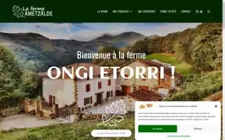 Ametzalde.fr Screenshot 2024-05-23 19:25:53
