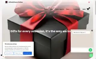 Gifts4giversza.com Screenshot 2024-05-28 03:59:31