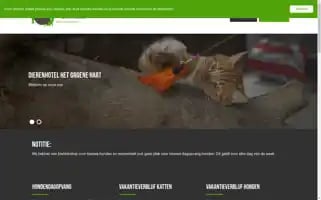 Dierenhotelhetgroenehart.nl Screenshot 2024-04-17 16:34:54