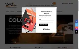 Vmo-inc.com Screenshot 2024-05-16 23:28:53