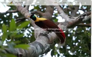 Wallaceabirdtour.com Screenshot 2024-04-23 15:41:30