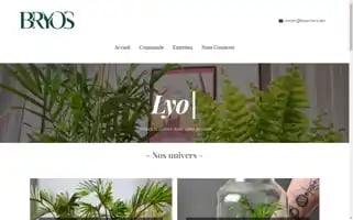 Bryos-terra.com Screenshot 2024-05-24 01:02:00