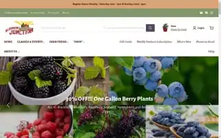 Bloomingjunction.com Screenshot 2024-06-12 12:31:18