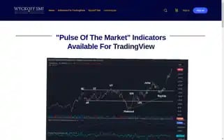 Pulseofthemarket.com Screenshot 2024-06-30 06:59:01