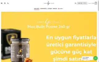 Honey-palace.com Screenshot 2024-05-24 16:53:44