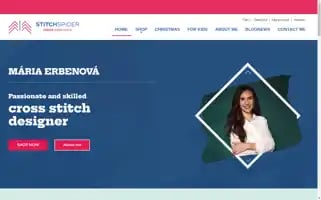 Stitchspider.com Screenshot 2024-06-16 00:36:20