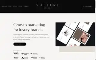 Vallureagency.com Screenshot 2024-06-13 11:09:22