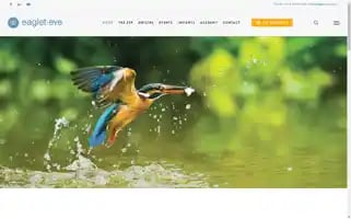 Eaglet-eye.com Screenshot 2024-07-01 06:07:16