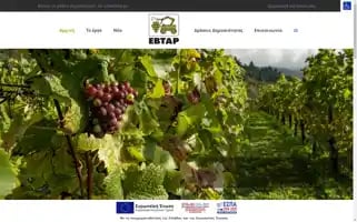 Evtar.eu Screenshot 2024-07-08 18:22:46