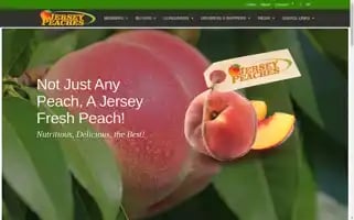 Jerseypeaches.com Screenshot 2024-05-12 12:50:29