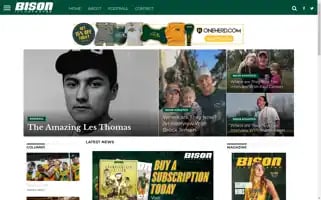 Bisonillustrated.com Screenshot 2024-07-05 14:55:11