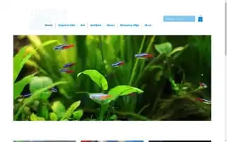 Livingartwork.us Screenshot 2024-05-12 18:34:42