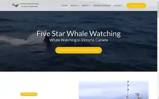 5starwhales.com Screenshot 2024-05-06 03:15:14