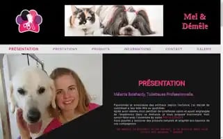 Meletdemele.fr Screenshot 2024-06-17 00:35:51