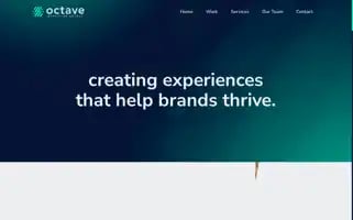 Octave-marketing.com Screenshot 2024-06-13 09:00:01