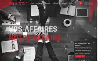 Blitzmedia.io Screenshot 2024-06-15 11:39:06