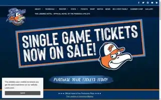 Peninsulapilots.com Screenshot 2024-05-16 12:21:25