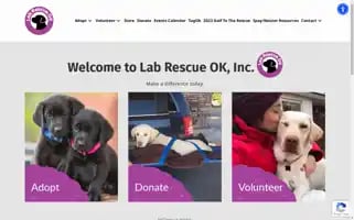 Labrescue.net Screenshot 2024-06-12 16:32:31
