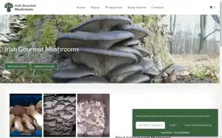 Irishgourmetmushrooms.ie Screenshot 2024-05-19 02:41:13
