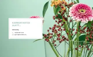 Szundekor.hu Screenshot 2024-05-18 17:28:31