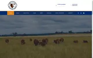 Glenanna.com.au Screenshot 2024-05-19 03:03:01