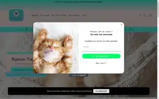 Ronron-toudoux.com Screenshot 2024-05-03 22:52:31