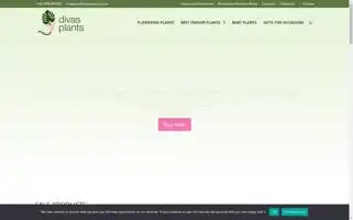 Divasplants.co.uk Screenshot 2024-07-08 06:35:16