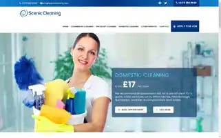 Sceniccleaning.com Screenshot 2024-06-16 01:55:25