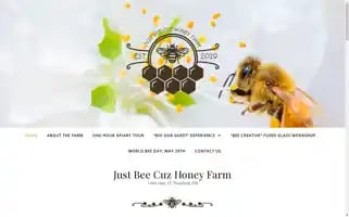 Apitourism.ca Screenshot 2024-04-26 09:08:18
