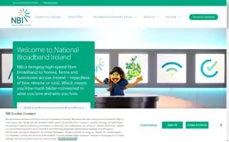 Nbi.ie Screenshot 2024-06-15 06:51:55