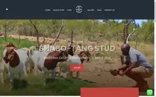 Shabo-tang.com Screenshot 2024-05-24 23:04:38