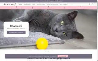 Chatsalors.com Screenshot 2024-05-02 03:40:09