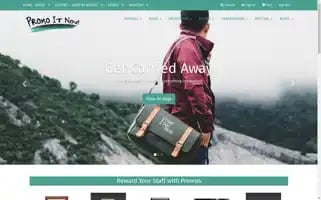 Promoitnow.com Screenshot 2024-05-13 13:01:34