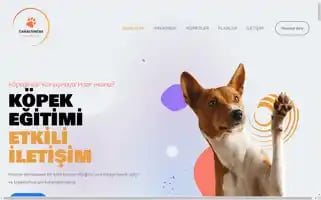 Canaltuntas.com Screenshot 2024-06-28 06:02:01