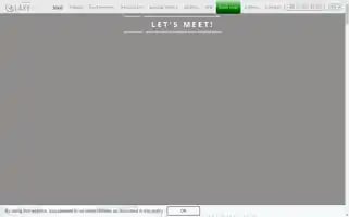 Galaxyhotel.pl Screenshot 2024-04-17 09:50:45