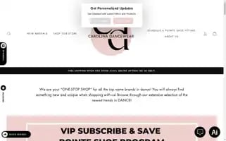 Thedancewearboutique.com Screenshot 2024-05-14 08:15:42