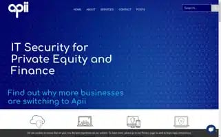 Apii.com Screenshot 2024-06-11 08:16:13