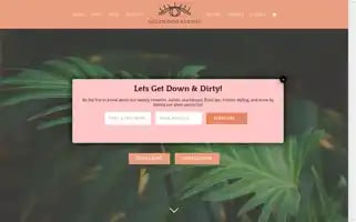 Oglewoodavenue.com Screenshot 2024-05-05 01:19:10