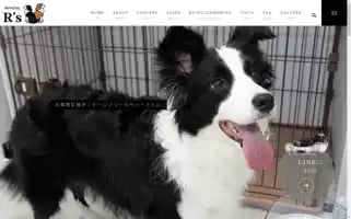 Pethotel-rs.com Screenshot 2024-04-23 16:24:58