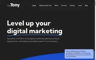 Heytony.ca Screenshot 2024-07-04 23:10:37