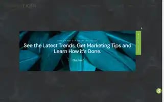 Brand-right.com Screenshot 2024-06-14 00:41:05