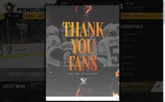 Wbspenguins.com Screenshot 2024-05-15 00:31:42