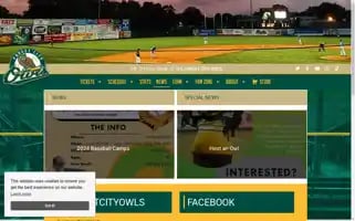 Forestcitybaseball.com Screenshot 2024-06-13 17:22:09